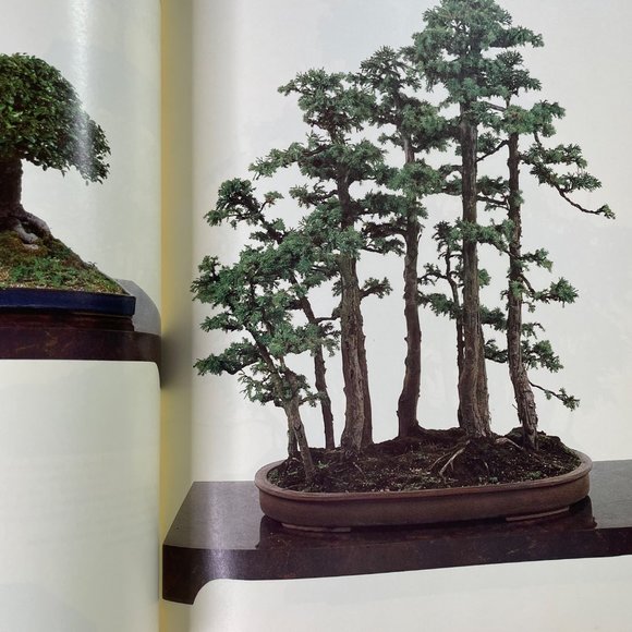 How to Grow Miniatures and Bonsai Plants u Time Life Encyclopedia of Gardening 1 - Picture 8 of 9